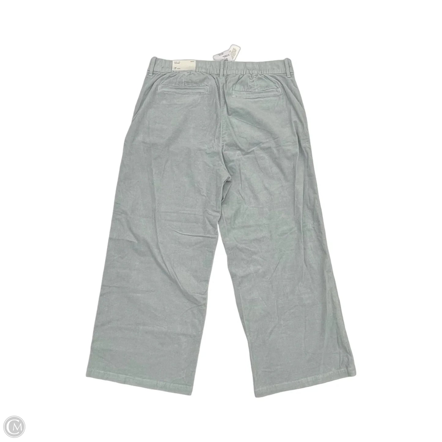 Pants Corduroy By American Eagle In Blue, Size: 16