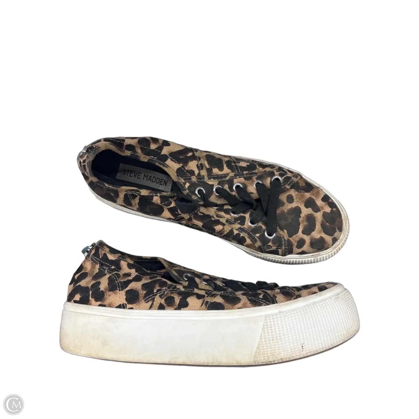 Shoes Sneakers Platform By Steve Madden In Leopard Print, Size: 8.5