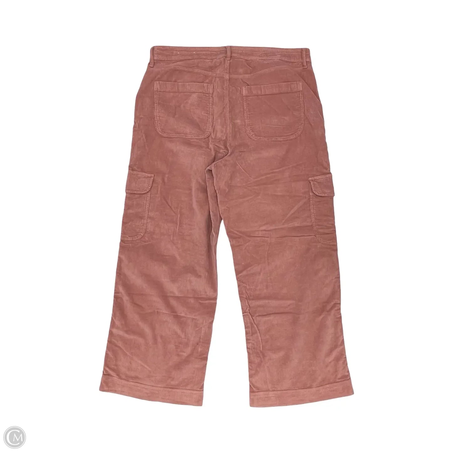 Pants Corduroy By American Eagle In Pink, Size: 18