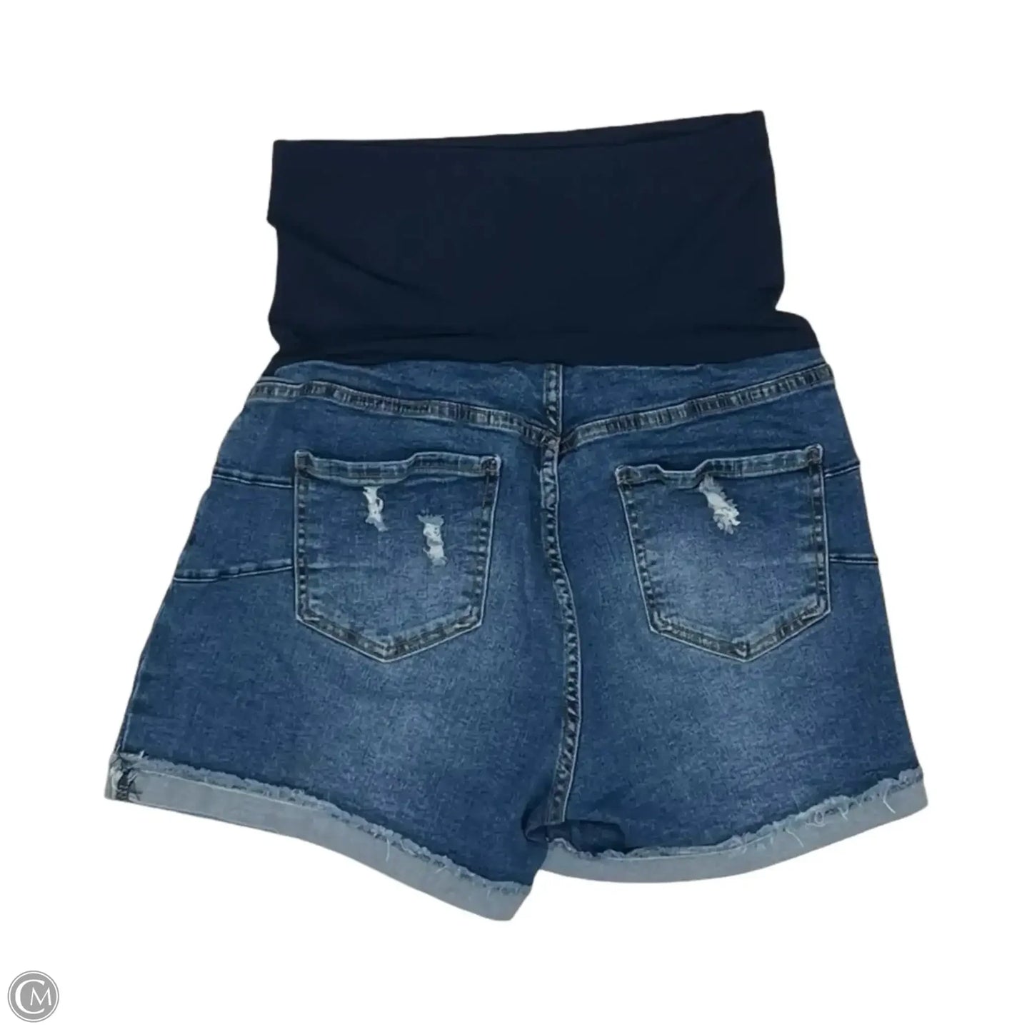 Mat Shorts By Clothes Mentor, Size: L