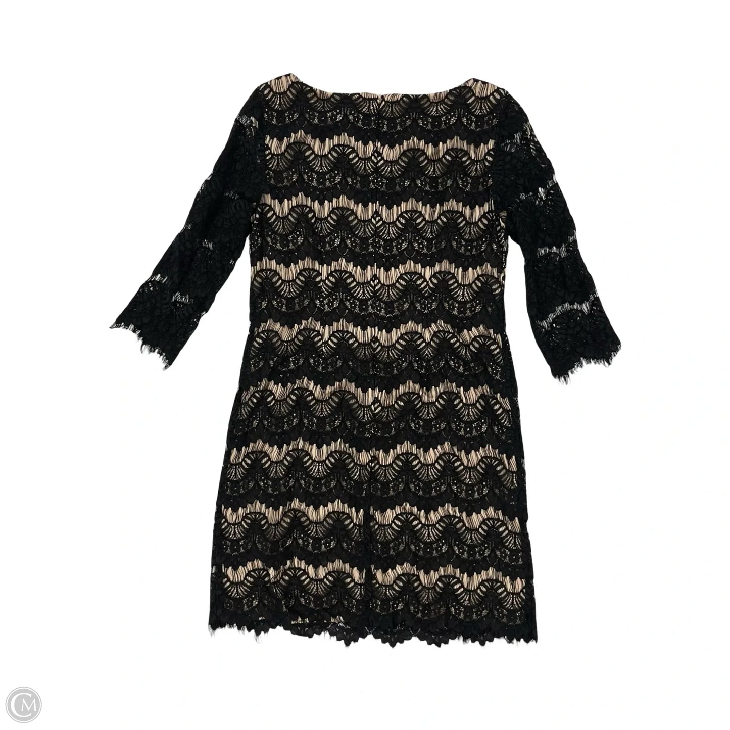 Dress Casual Short By Jessica Howard In Black & Tan, Size: 8