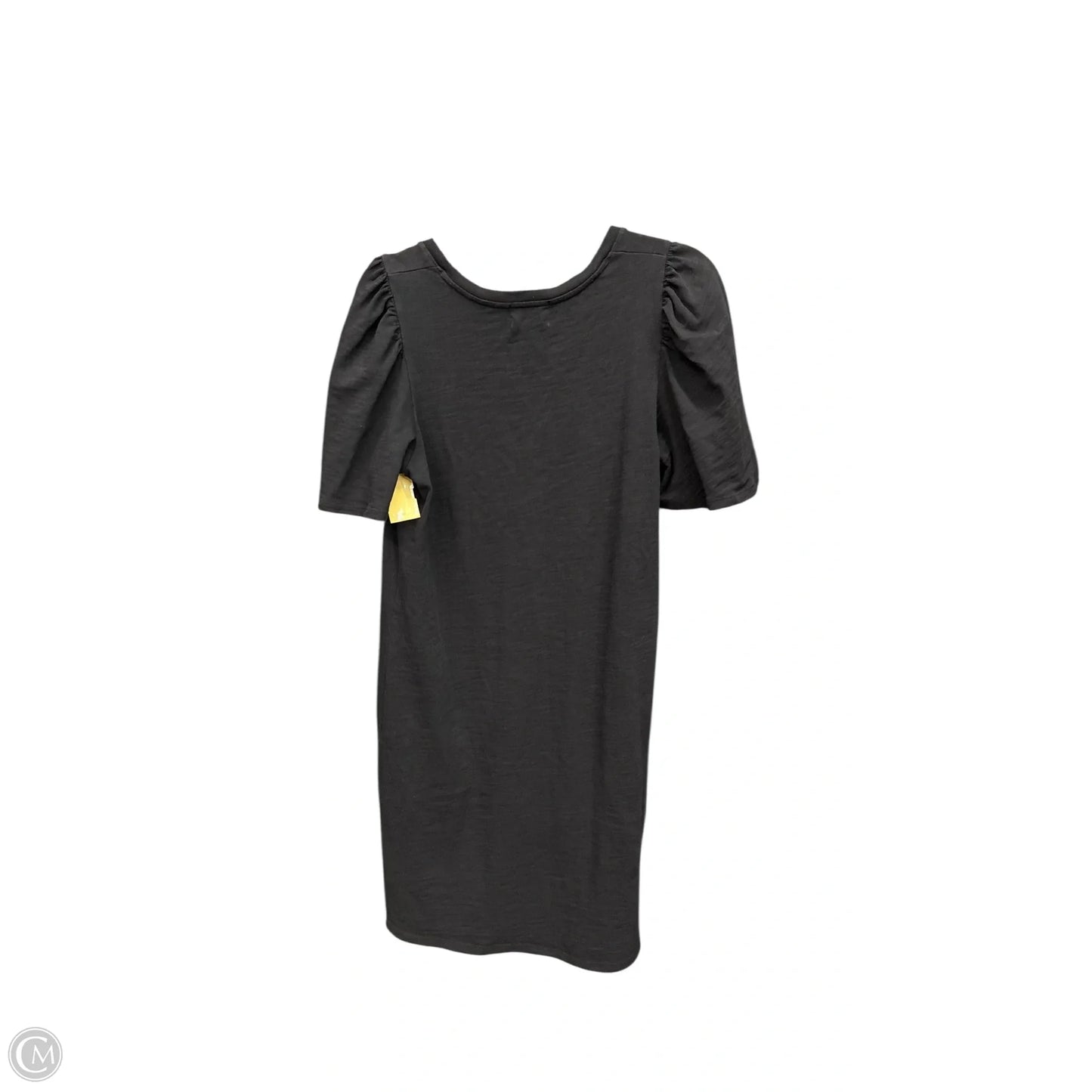 Dress Casual Short By Nation In Black, Size: S