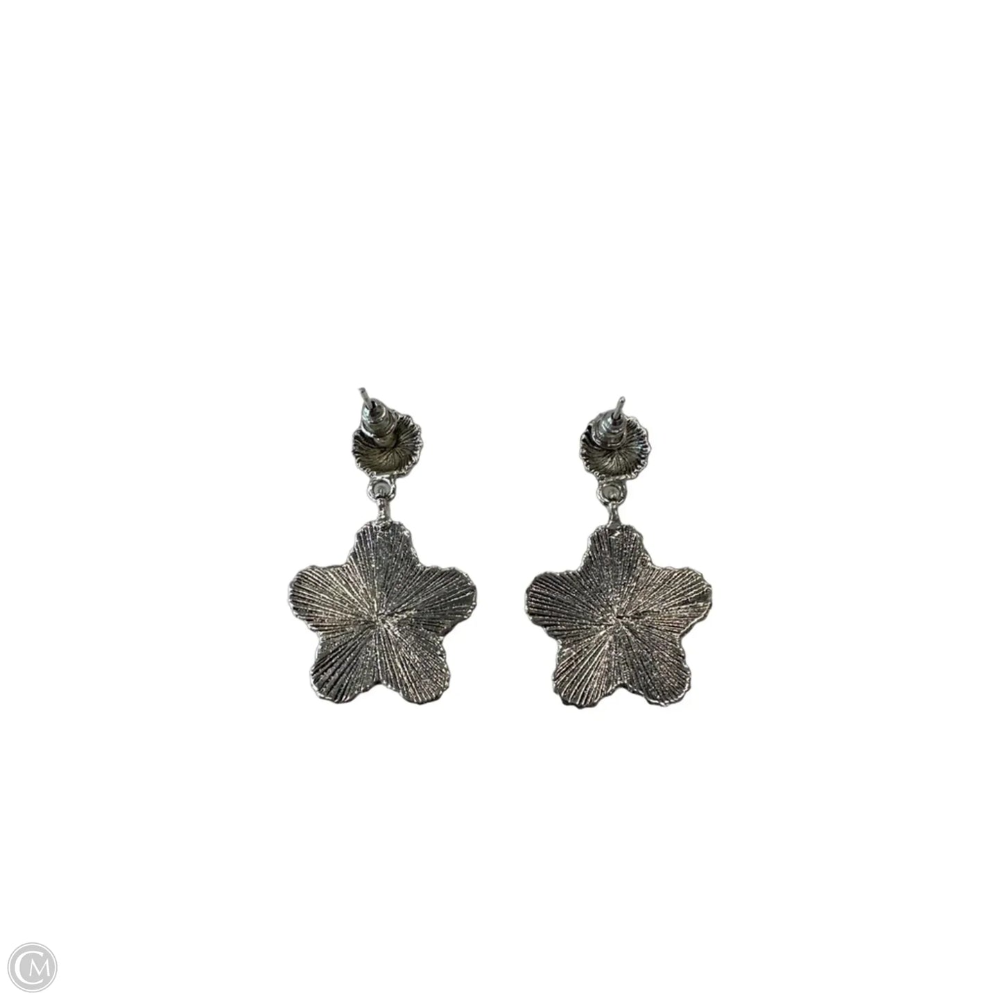 Earrings Dangle/drop By Clothes Mentor