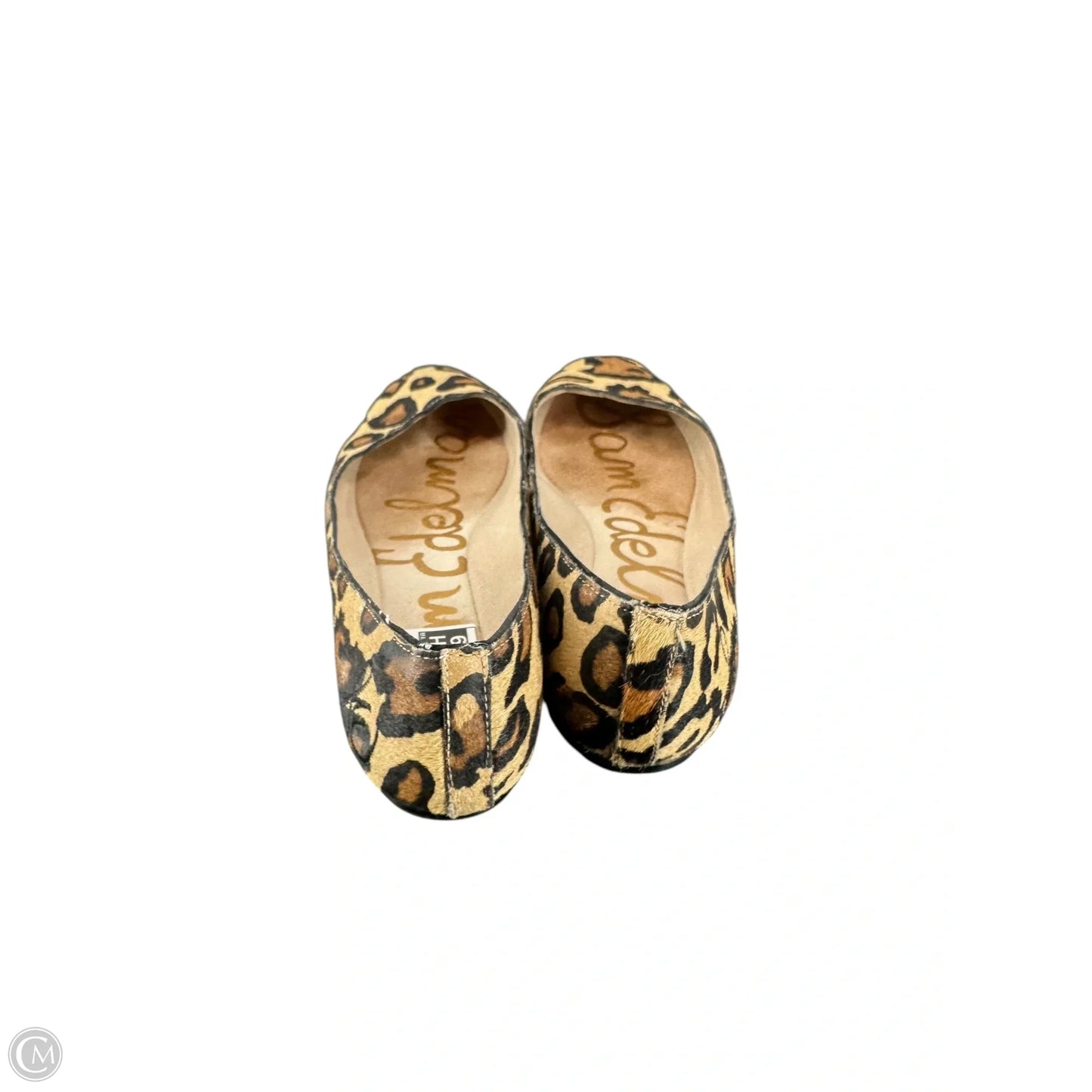Shoes Flats By Sam Edelman In Animal Print, Size: 8.5