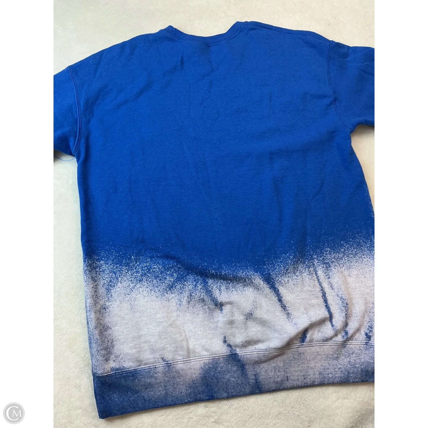 Sweatshirt Crewneck By Tultex In Blue, Size: S