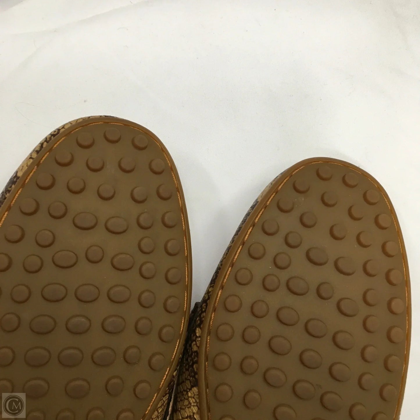 Shoes Flats By Lauren By Ralph Lauren In Animal Print, Size: 8