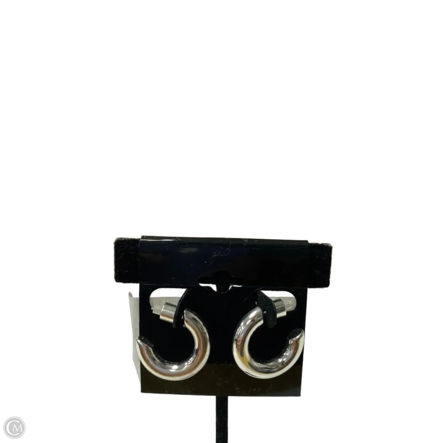 Earrings Hoop