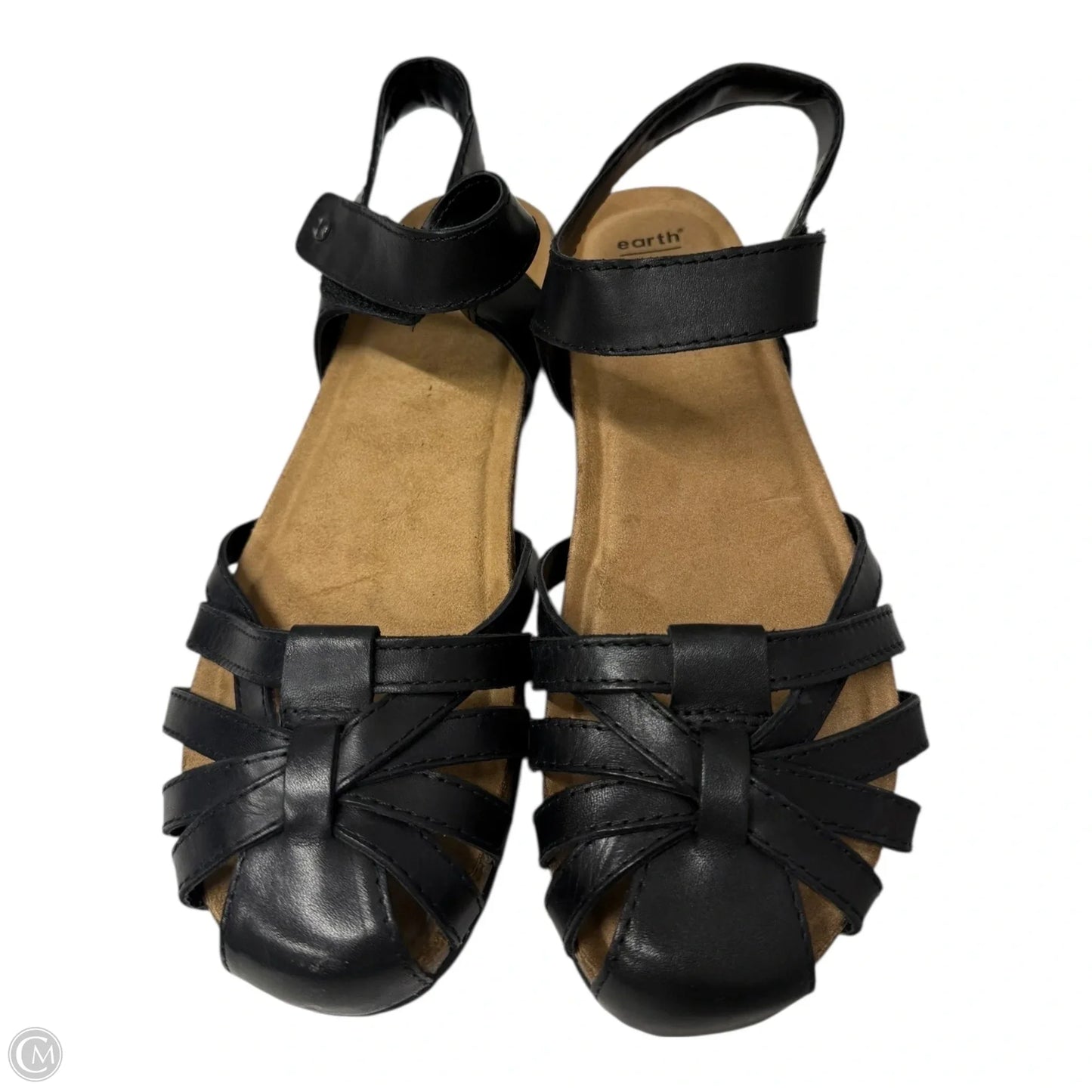 Shoes Flats By Earth In Black, Size: 9.5