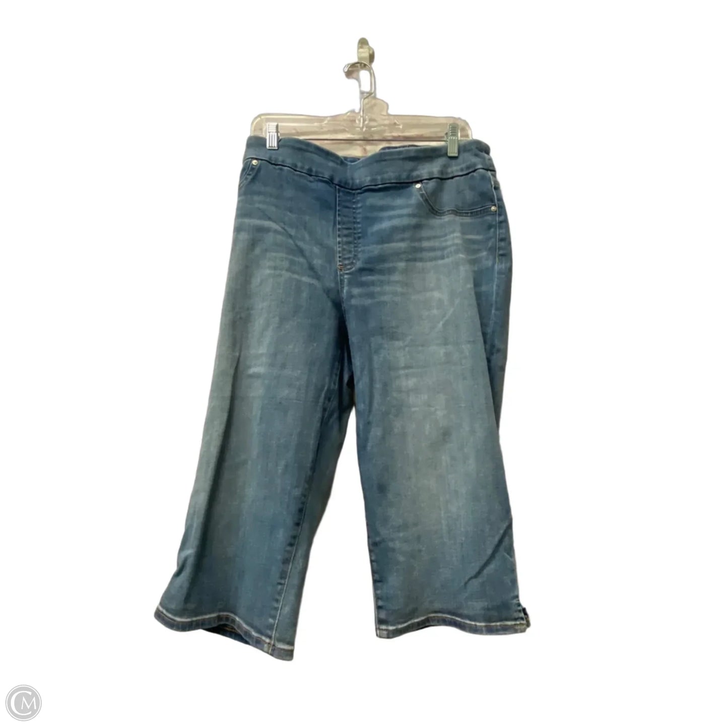 Capris By Chicos In Blue, Size: 16