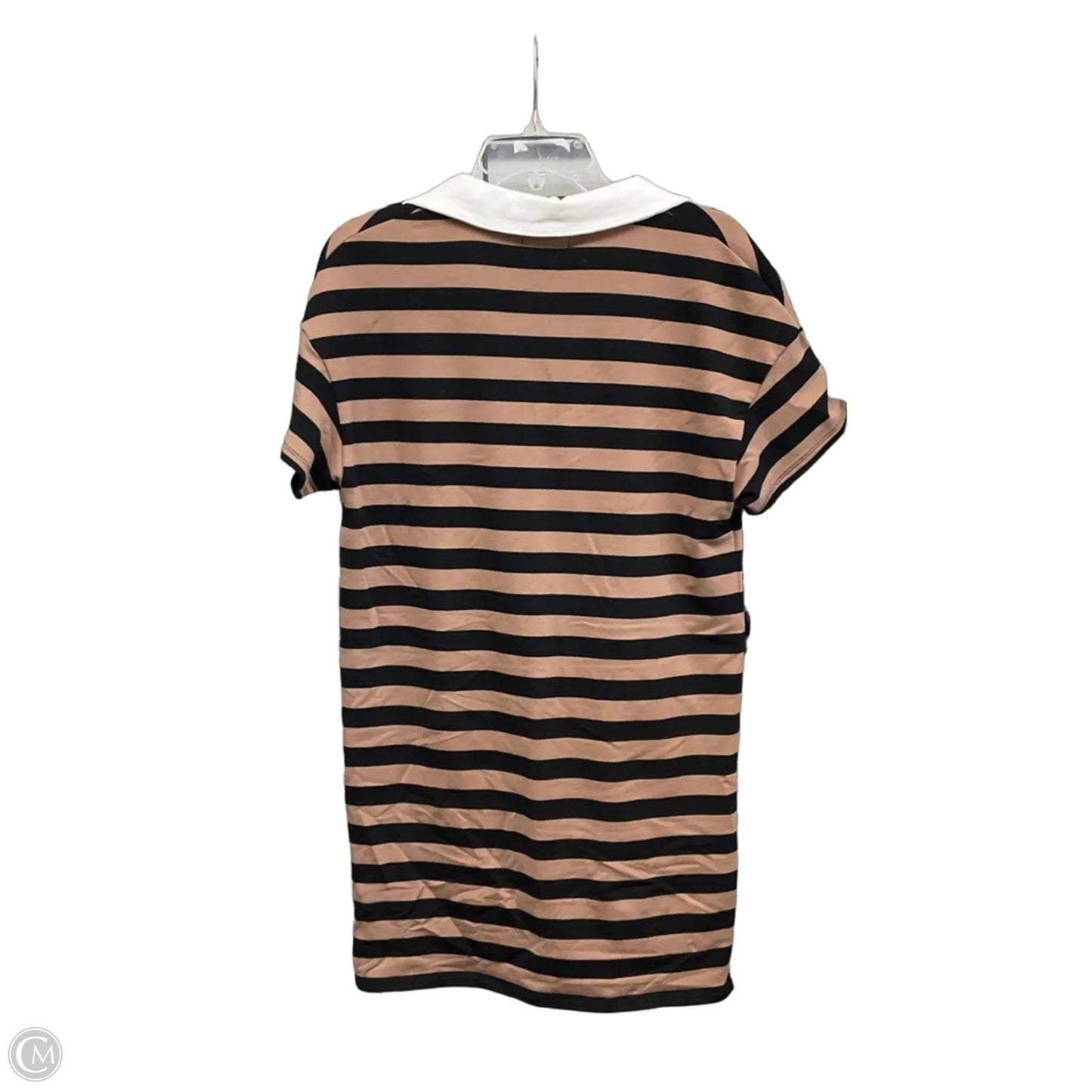Dress Casual Short By Evereve In Black & Brown, Size: S