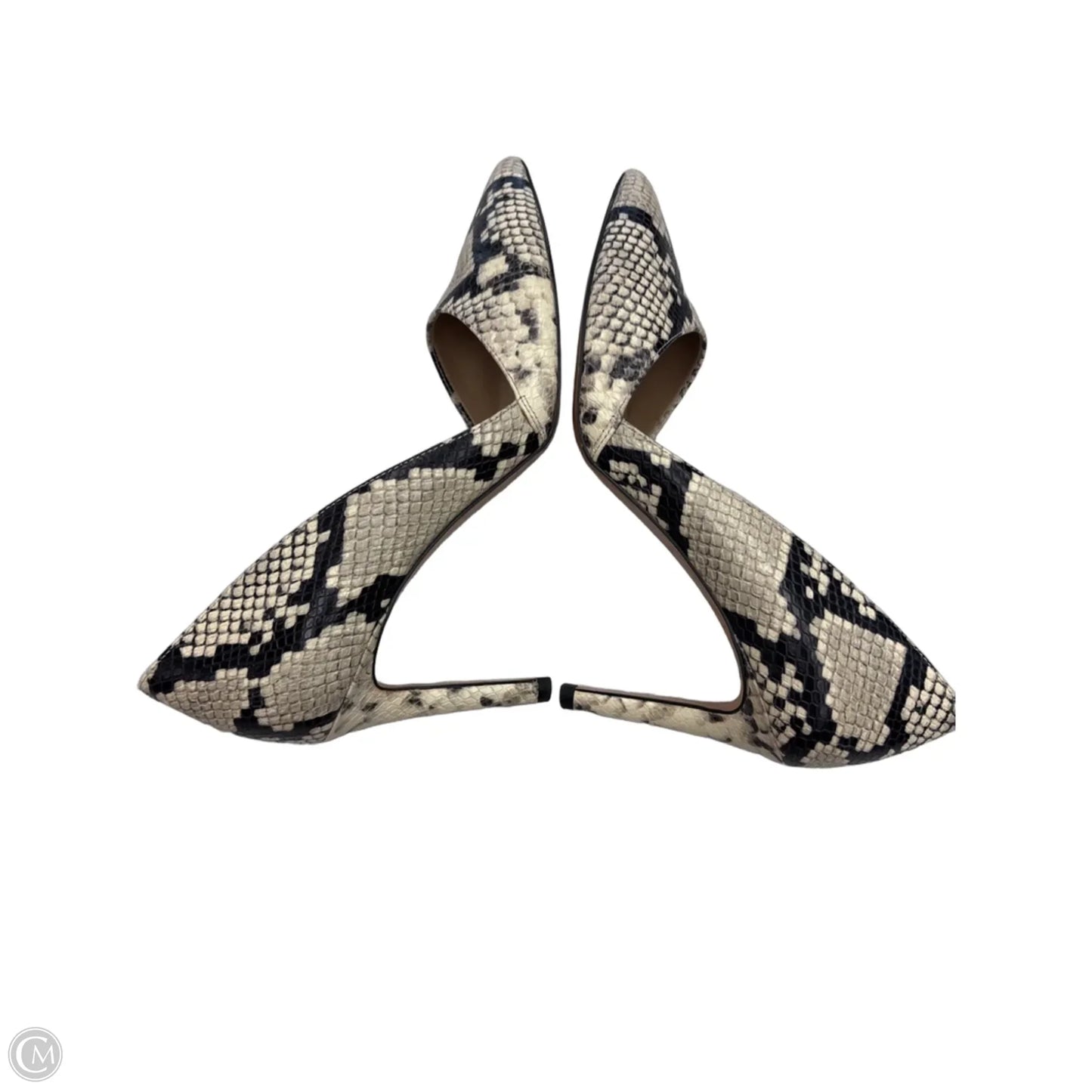 Shoes Heels Stiletto By Ann Taylor In Animal Print, Size: 9.5