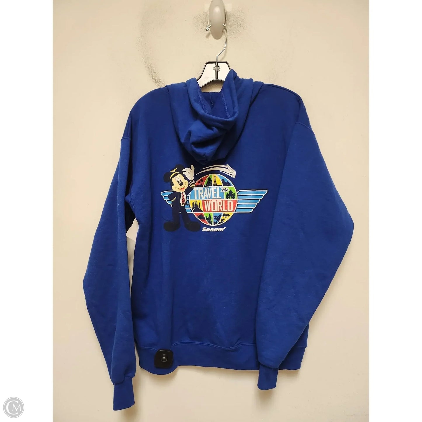 Sweatshirt Hoodie By Hanes In Blue, Size: M