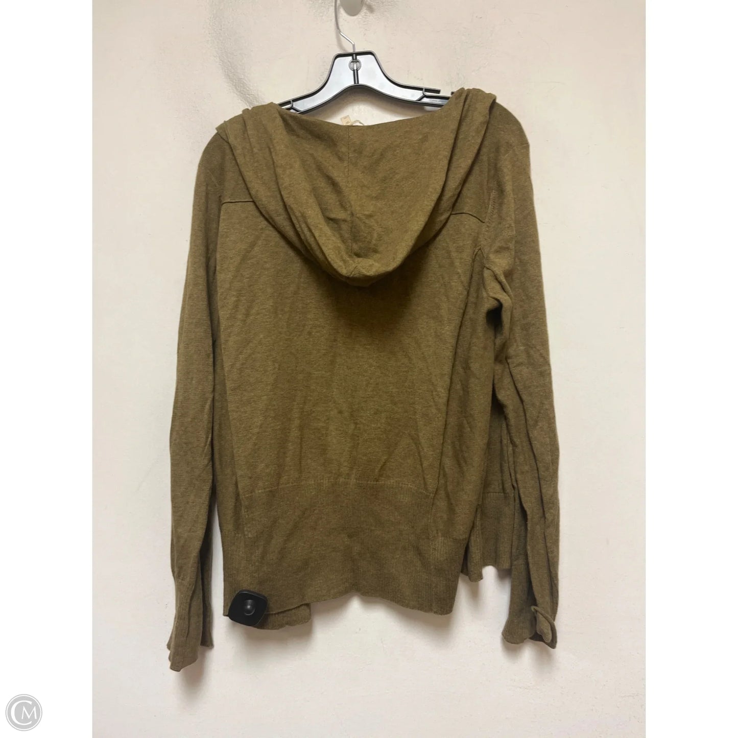 Sweatshirt Hoodie By Eileen Fisher In Green, Size: Xl