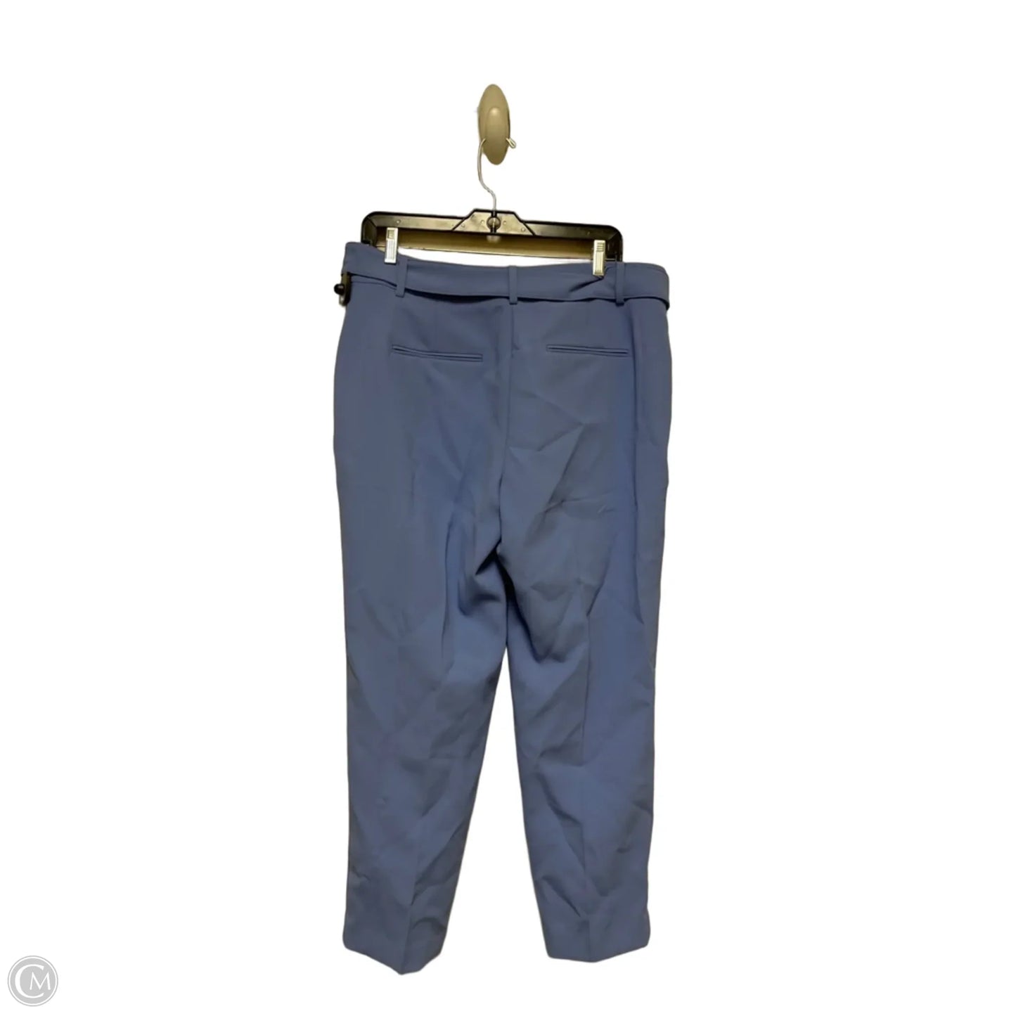 Pants Other By Ann Taylor In Blue, Size: 10