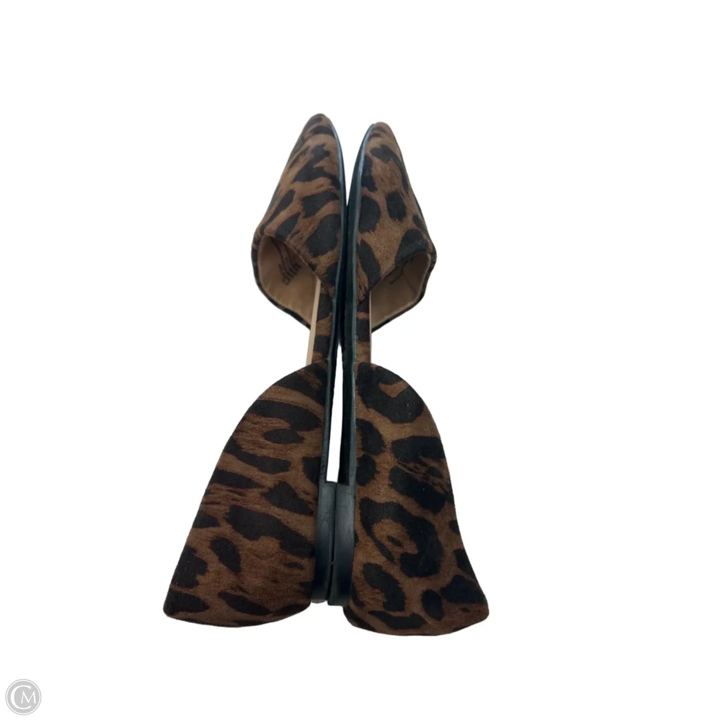 Shoes Flats By A New Day In Animal Print, Size: 9.5