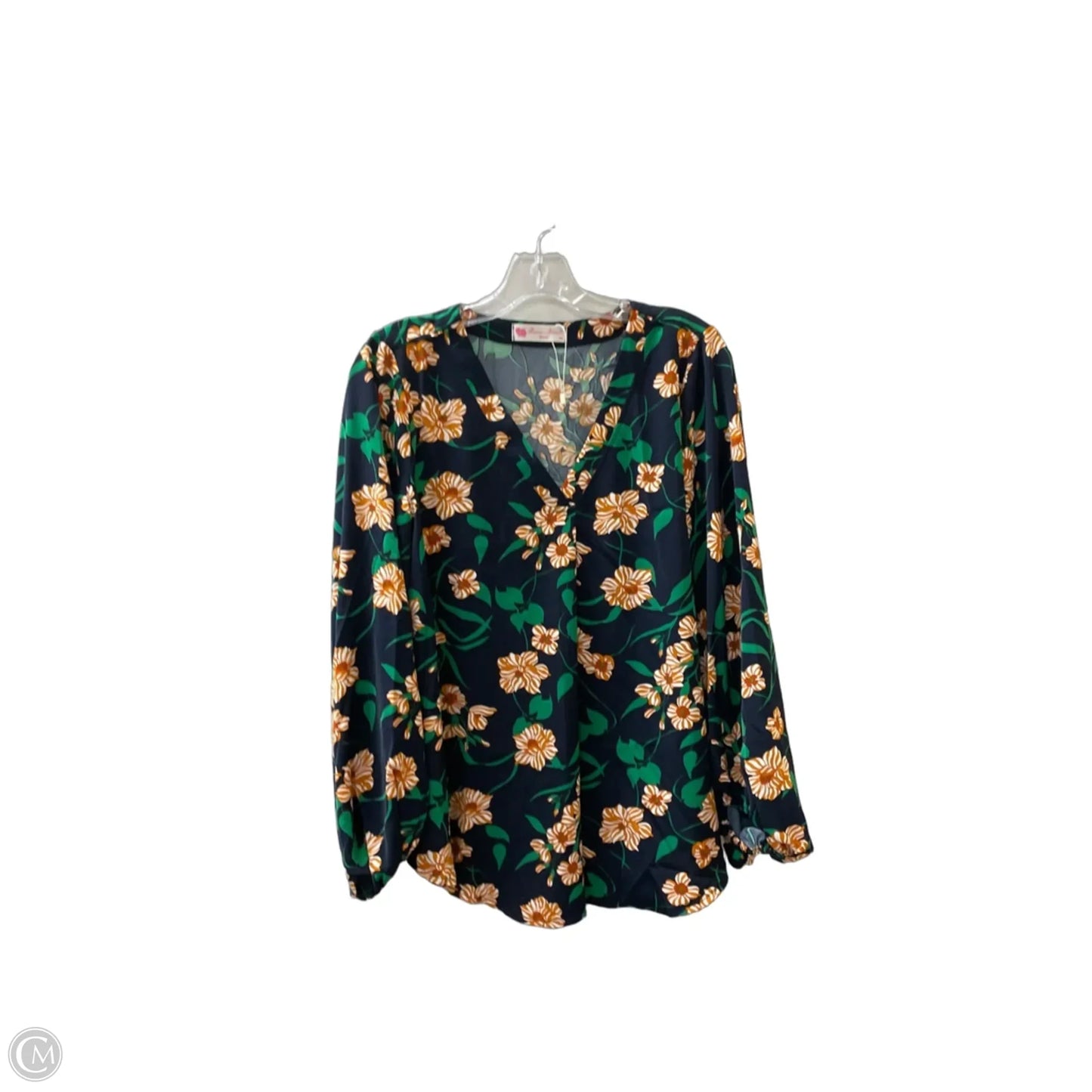 Blouse Long Sleeve By Cmc In Blue & Green, Size: M