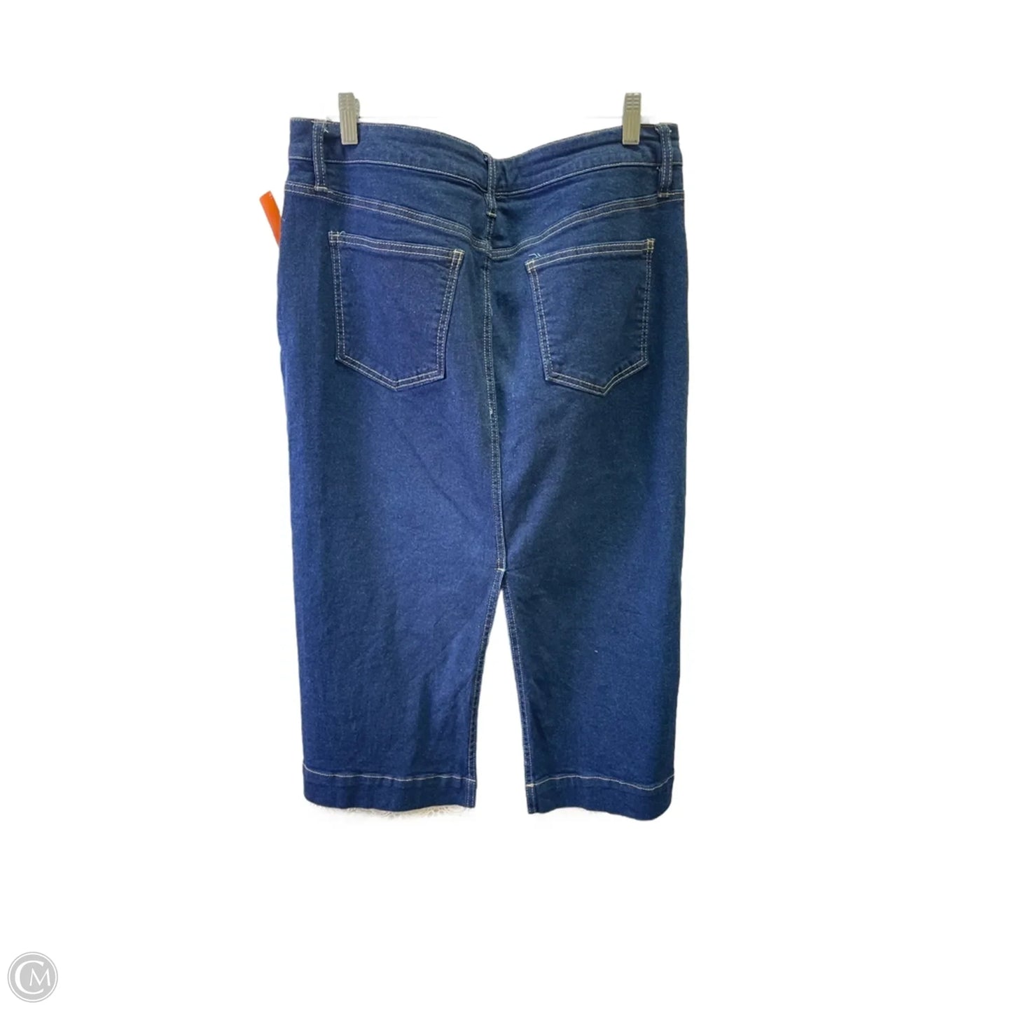 Skirt Maxi By Bar Iii In Blue & Cream, Size: 14