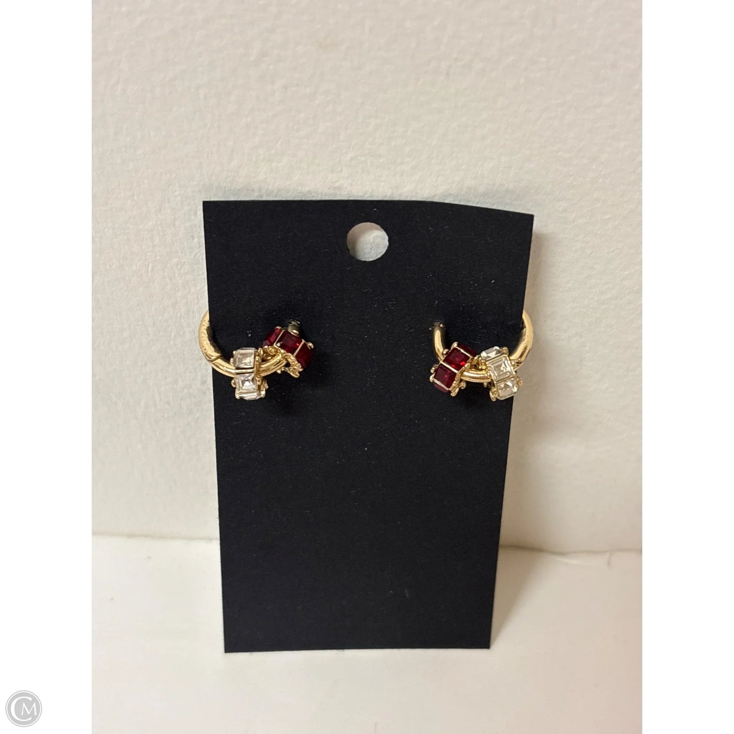 Earrings Hoop By Cmf