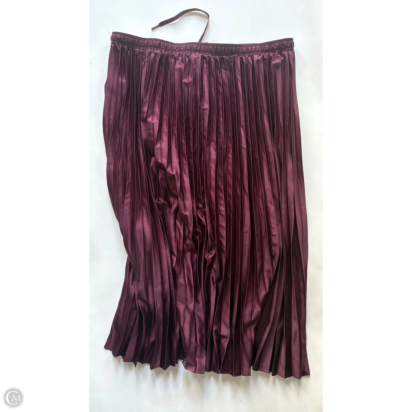 Skirt Maxi By Ellen Tracy In Maroon, Size: 16