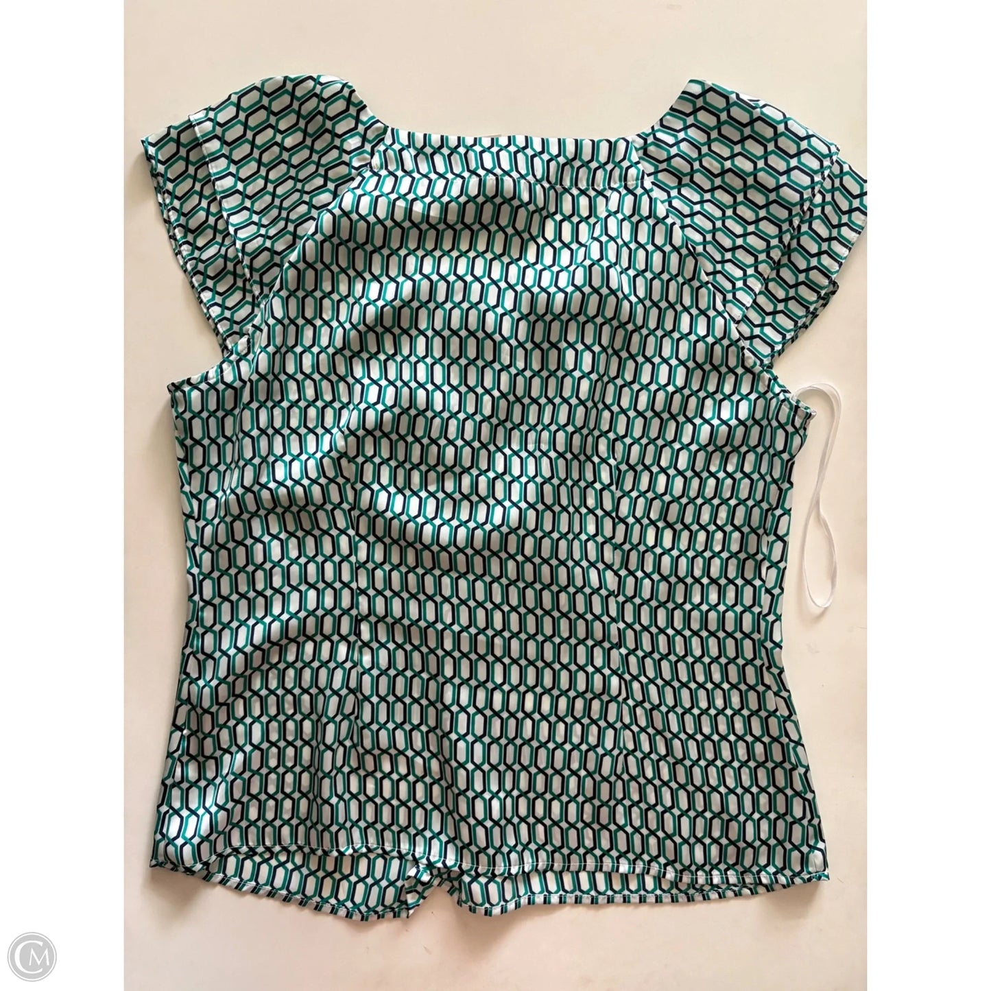 Blouse Sleeveless By Dressbarn In Blue & Green, Size: L