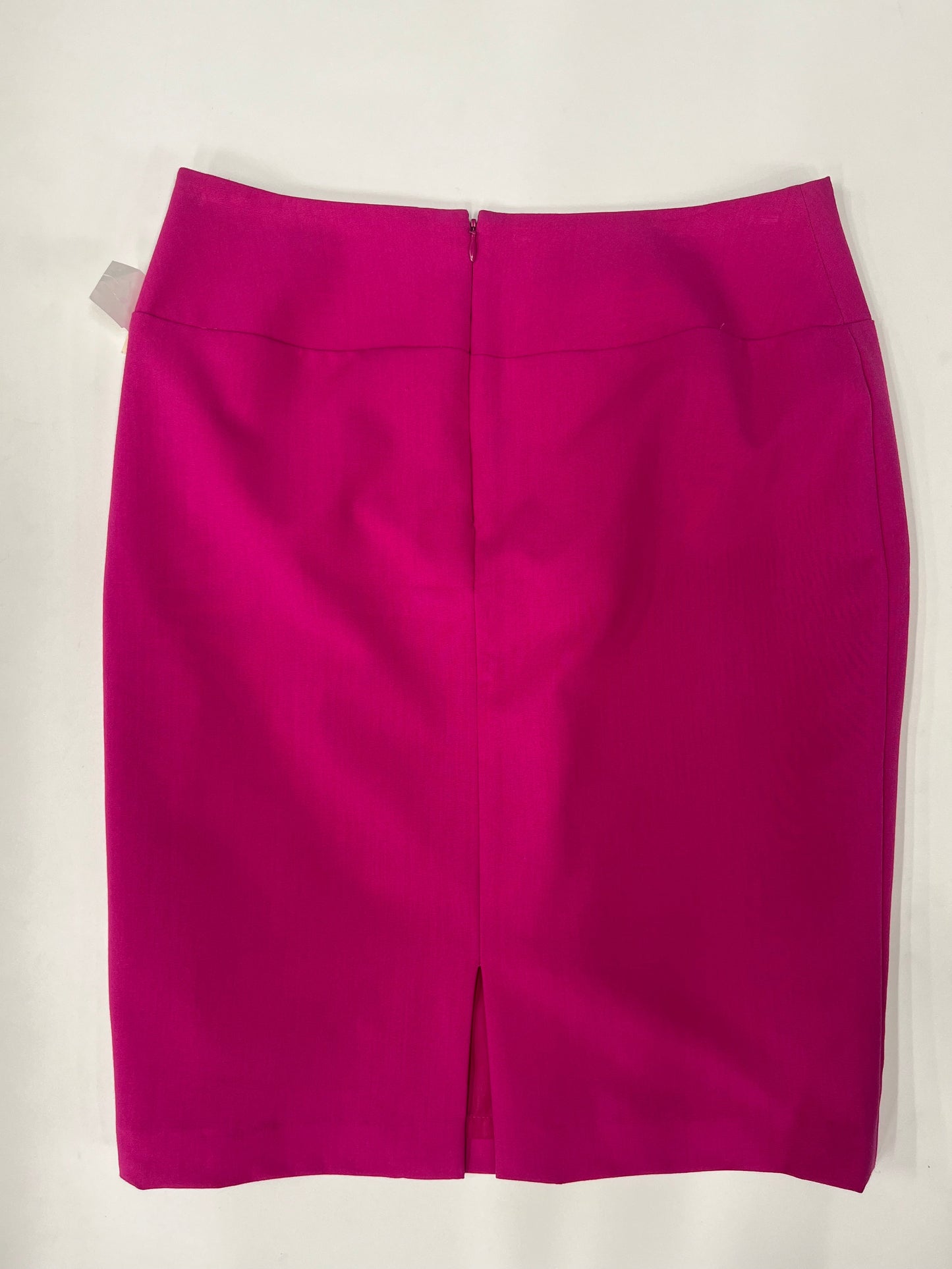 Skirt By Ellen Tracy Size: 8