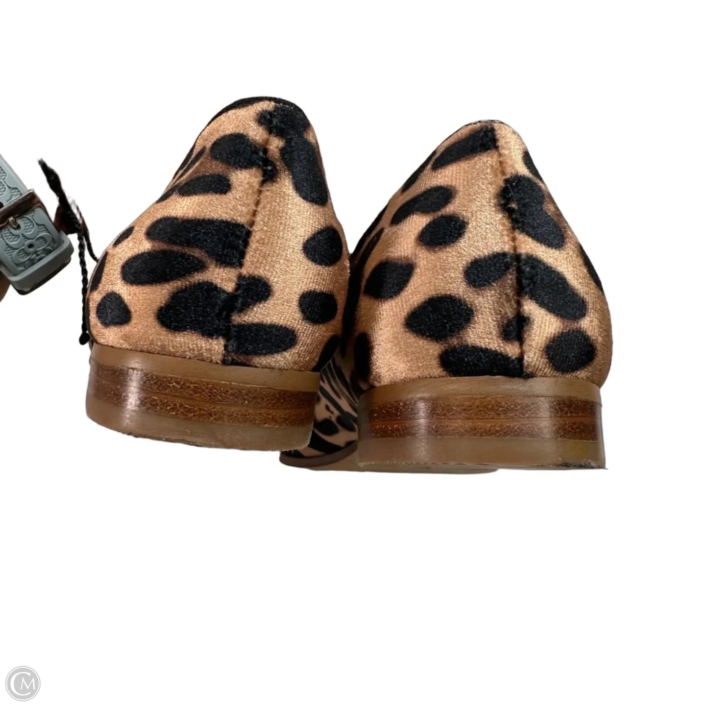 Shoes Flats By Sole Society In Leopard Print, Size: 7.5