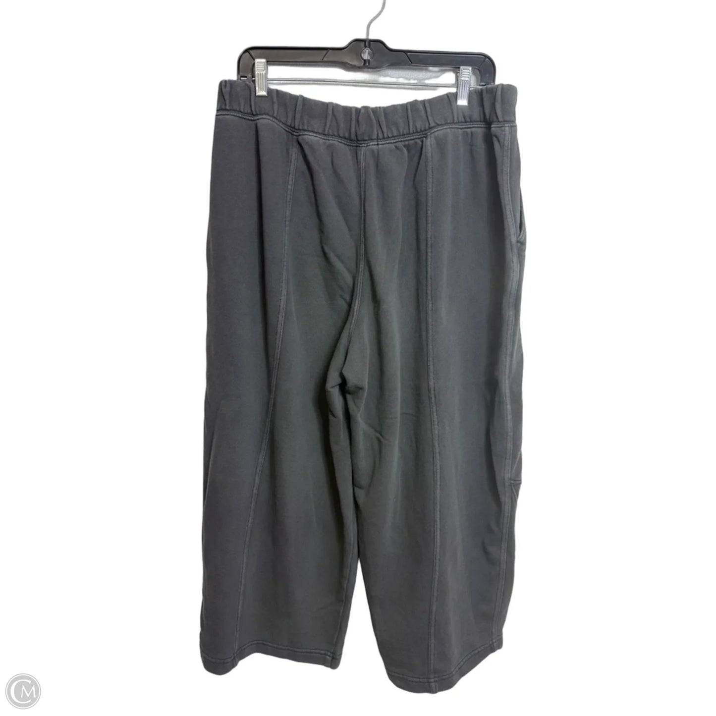 Pants Lounge By Aerie In Grey, Size: L