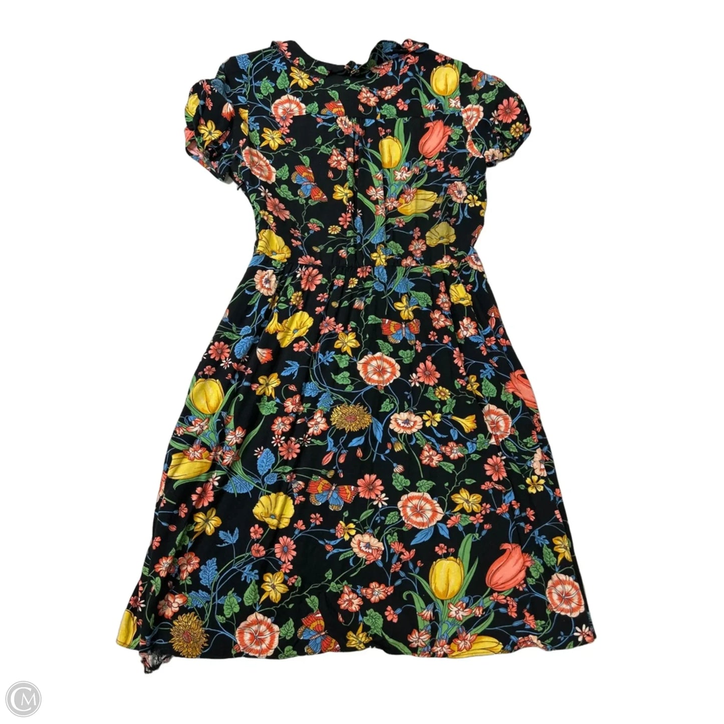Dress Casual Short By Maeve In Floral Print, Size: 8