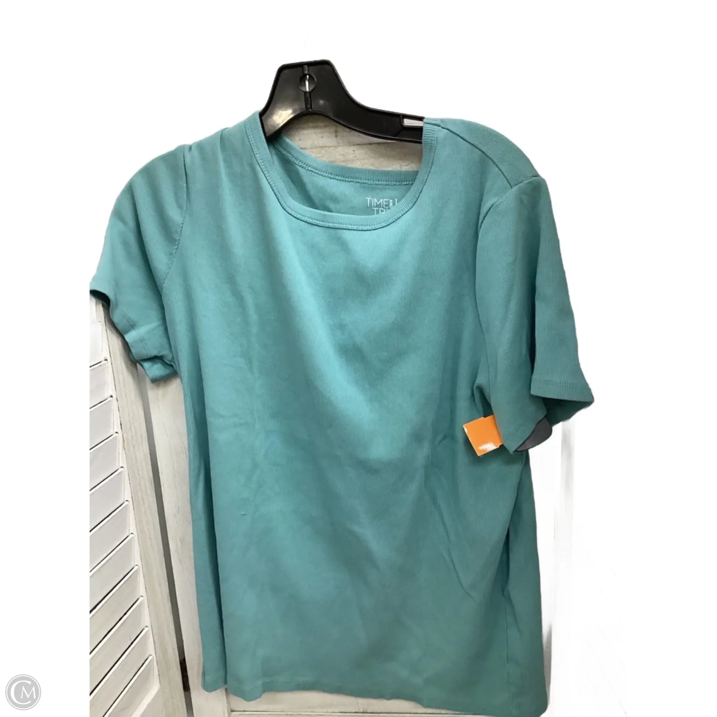 Top Short Sleeve By Time And Tru In Teal, Size: 3x