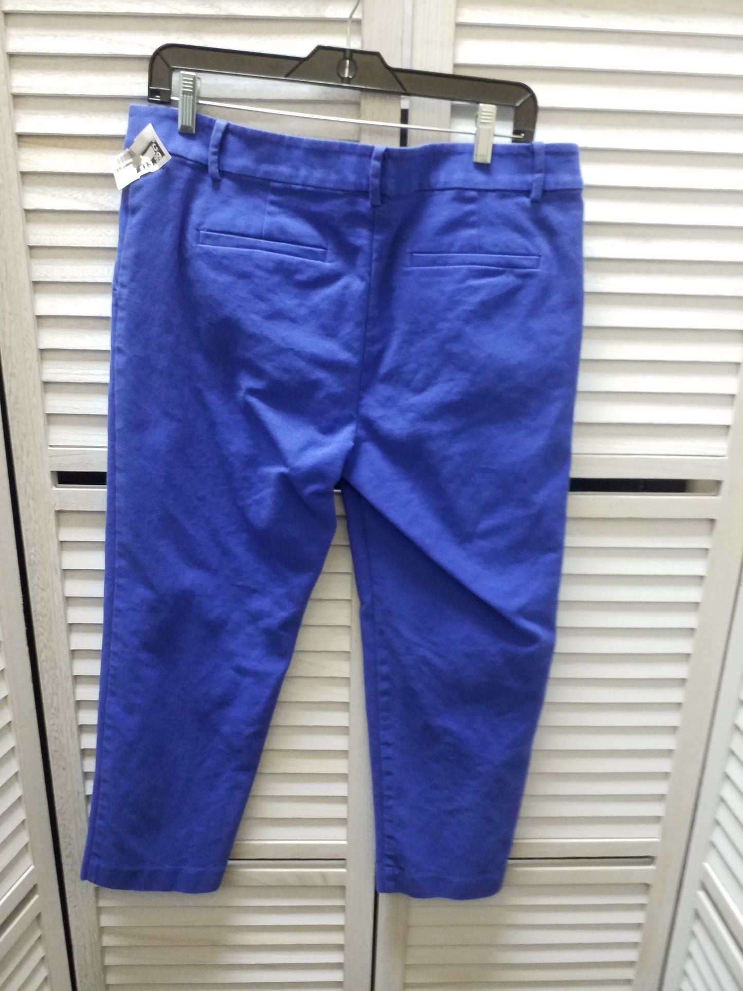 Pants Ankle By Loft Size: 10