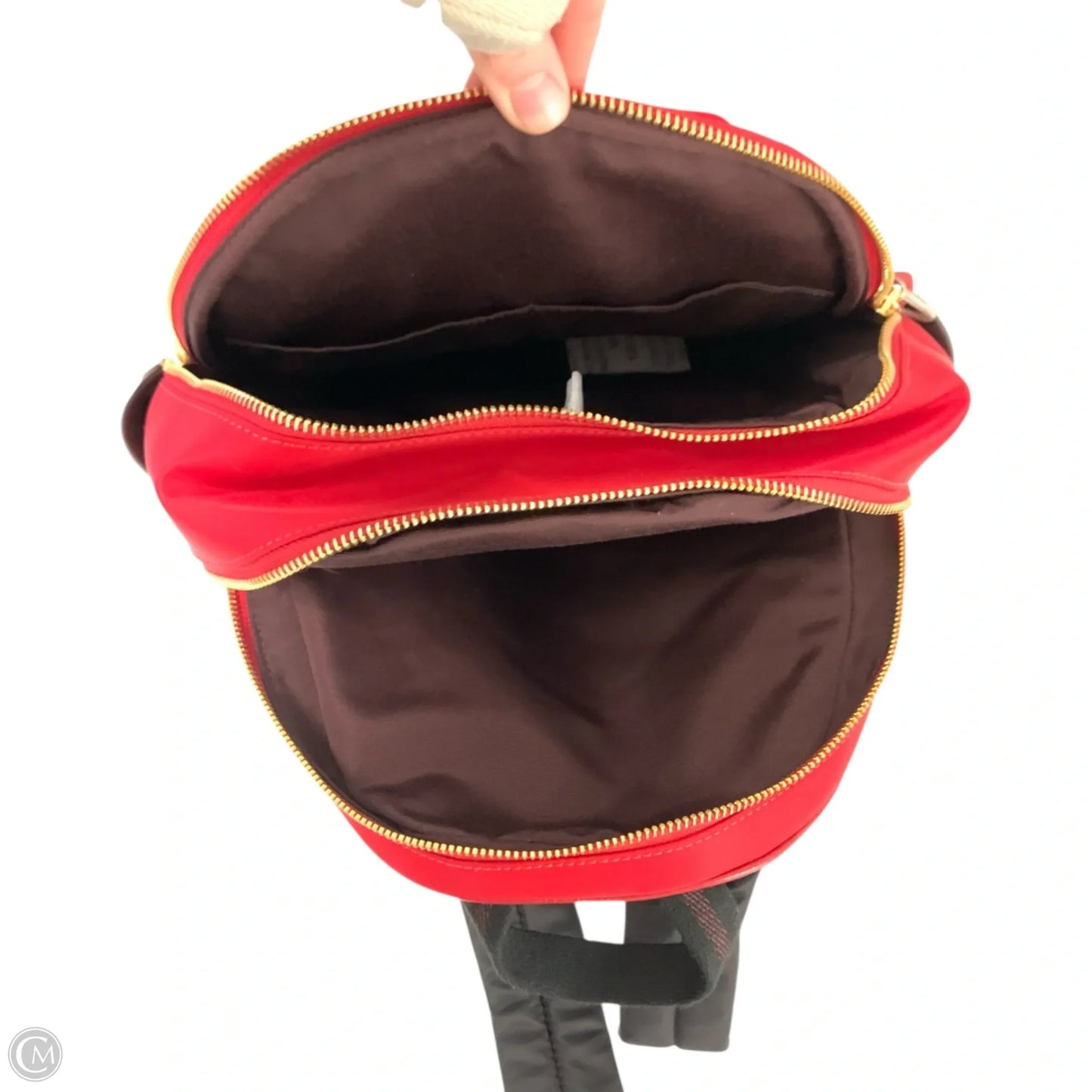 Backpack Designer By Coach, Size: Medium