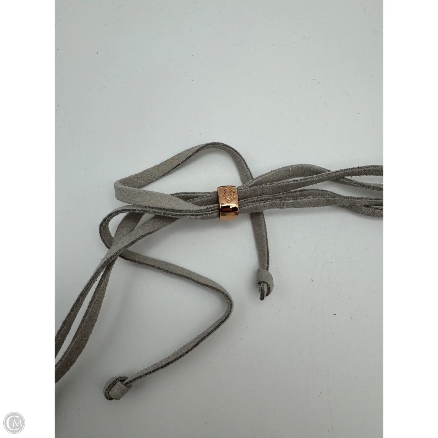 Necklace Layered By Clothes Mentor