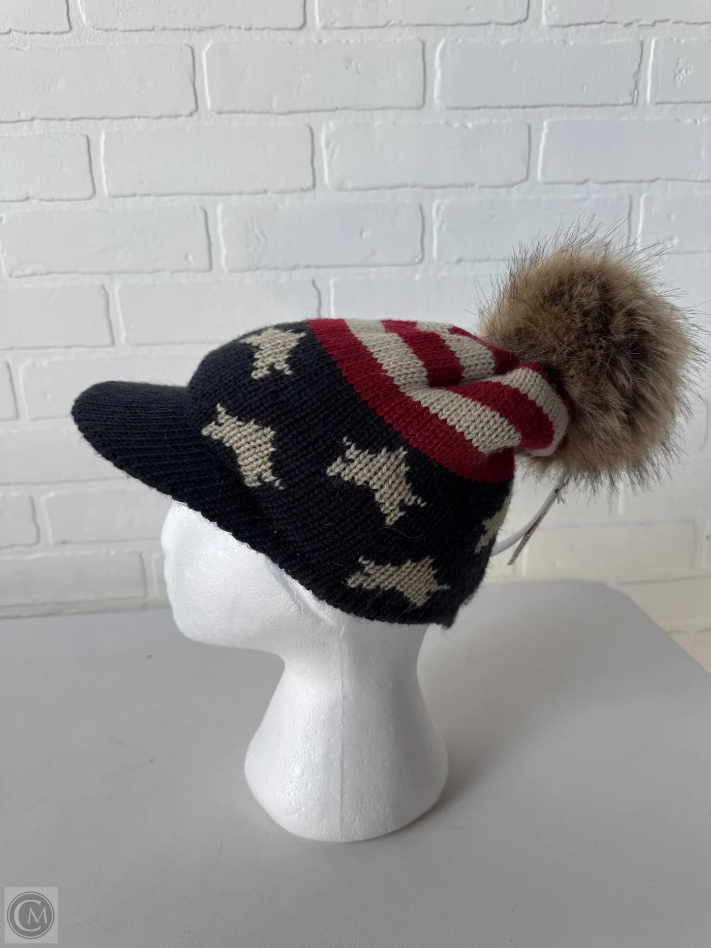 Hat Beanie By Clothes Mentor