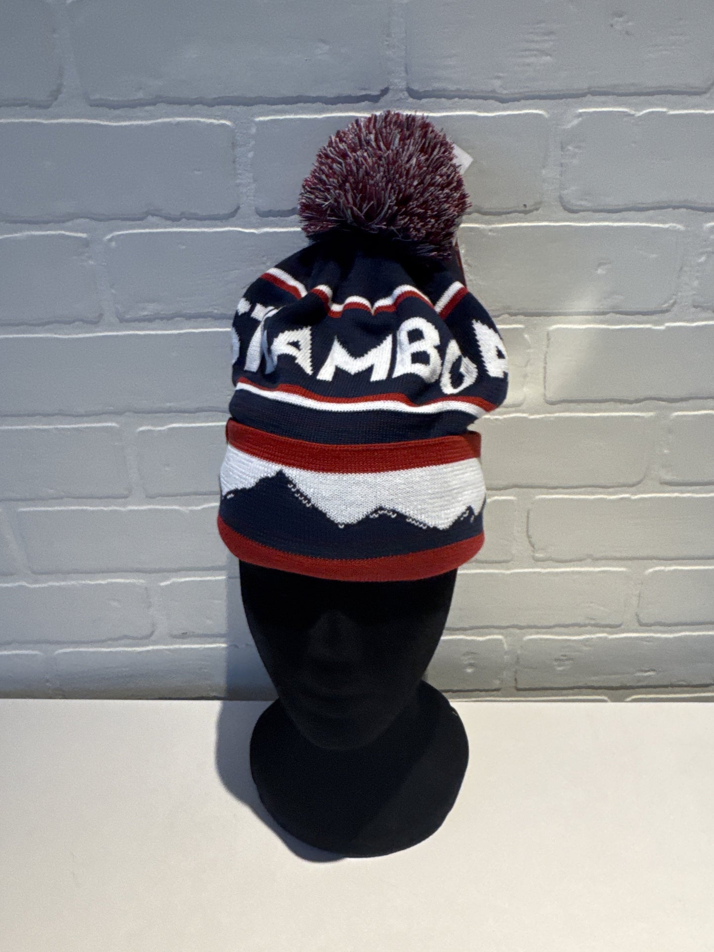 Hat Beanie By Clothes Mentor