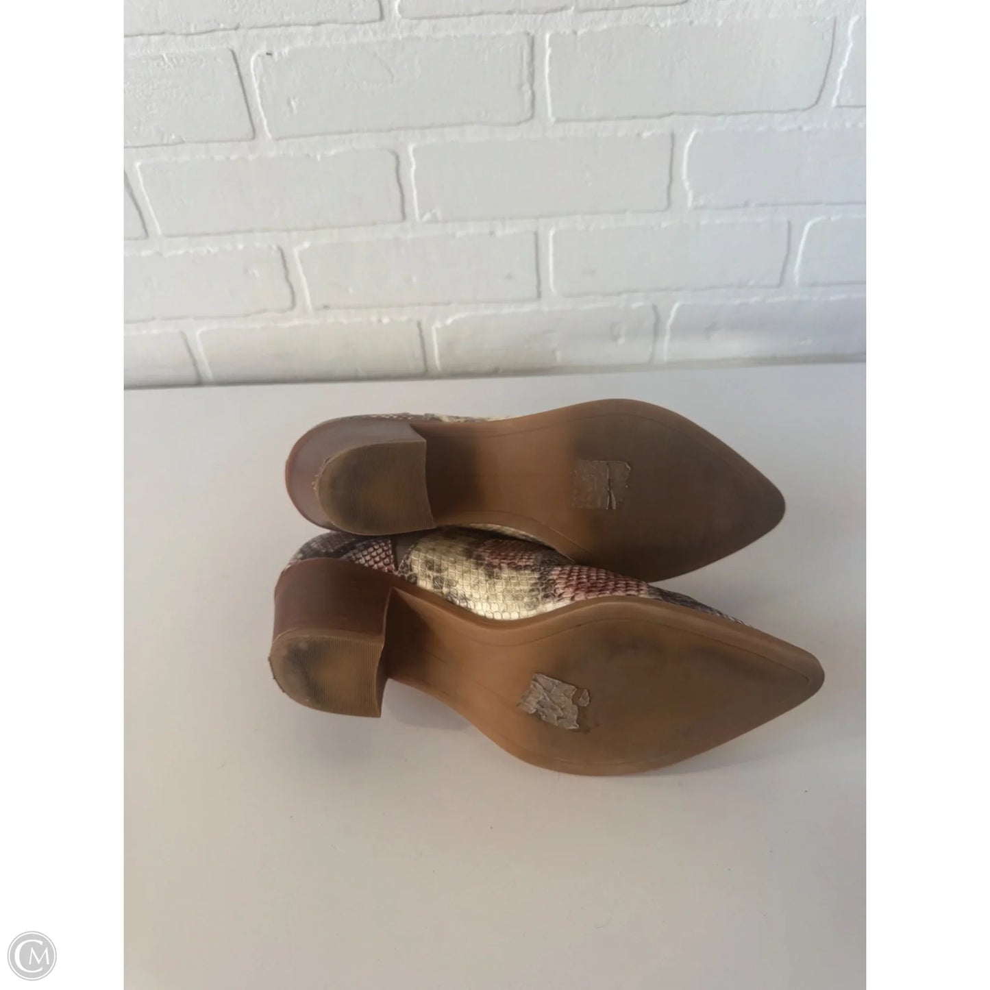 Boots Ankle Heels By Dolce Vita In Snakeskin Print, Size: 7.5