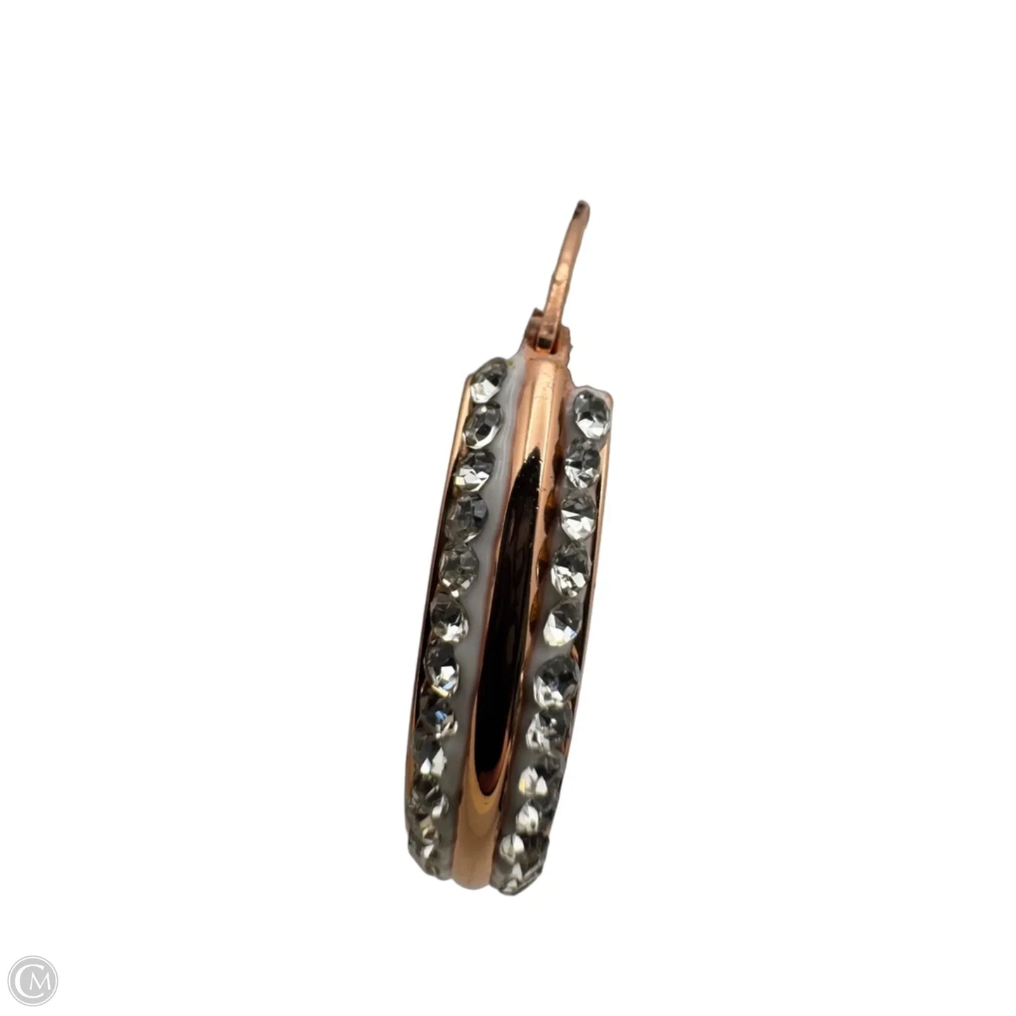 Earrings Hoop By Cma