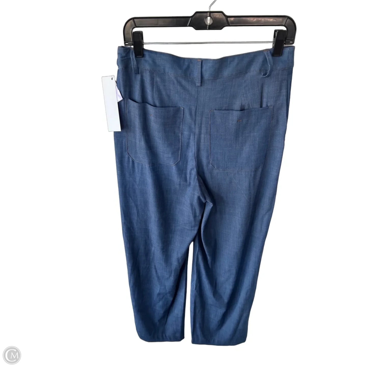 Pants Other By Zara In Blue, Size: S