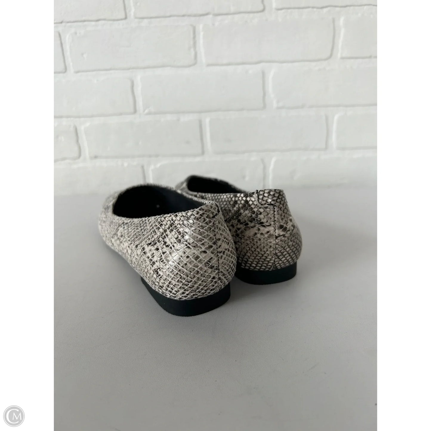 Shoes Flats By Steve Madden In Snakeskin Print, Size: 6.5