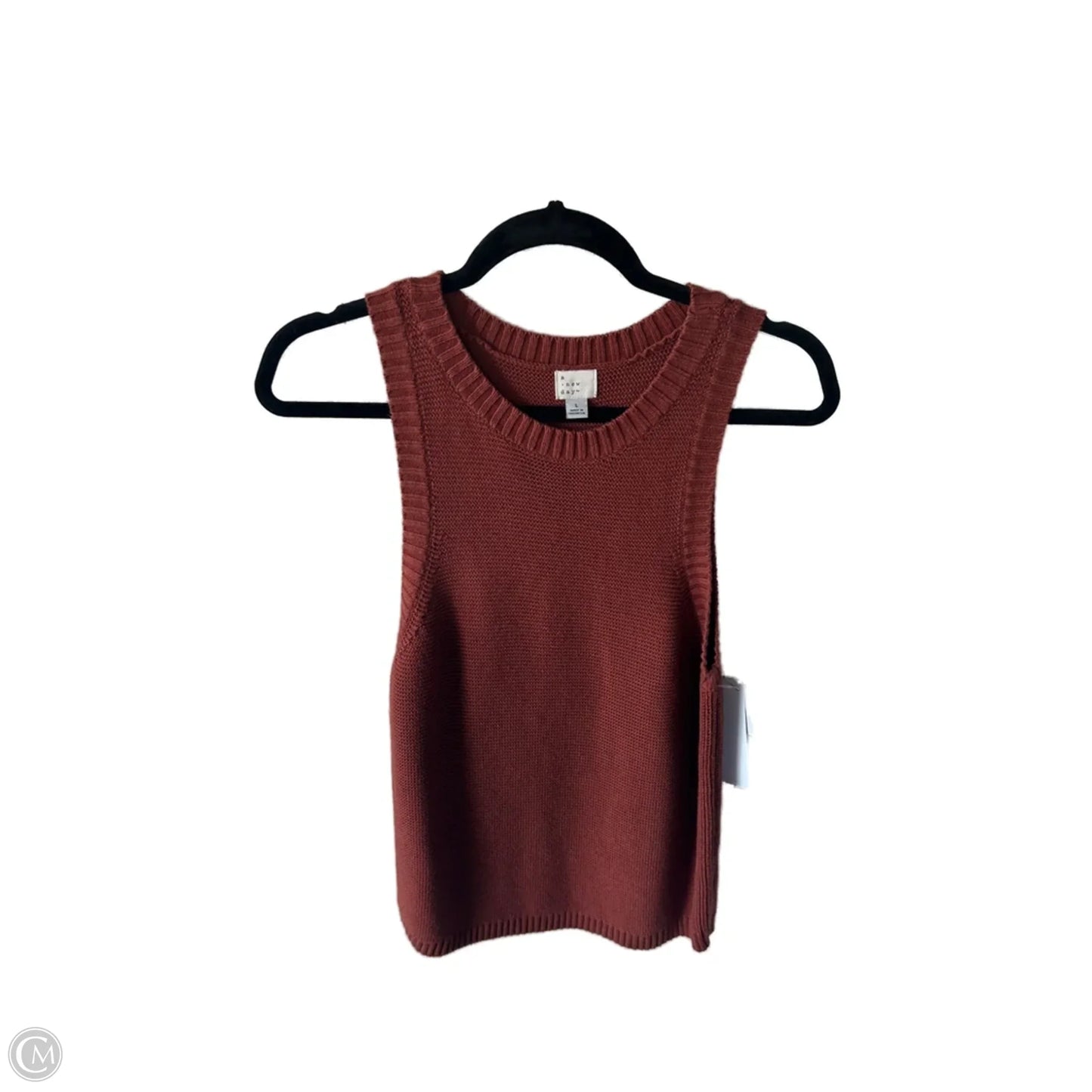 Vest Sweater By A New Day In Brown, Size: L