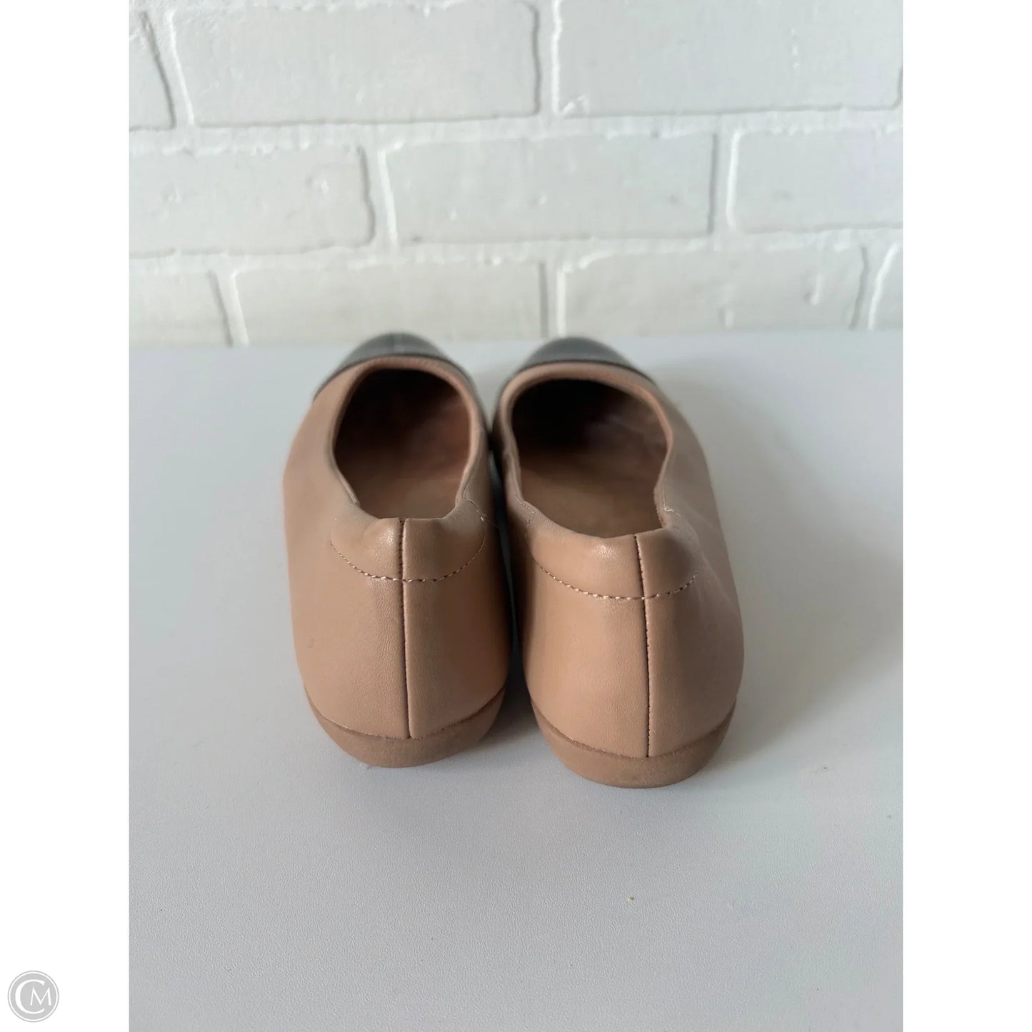 Shoes Flats By Naturalizer In Black & Tan, Size: 6.5