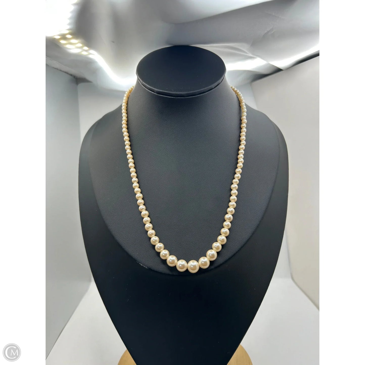 Necklace Chain By Clothes Mentor