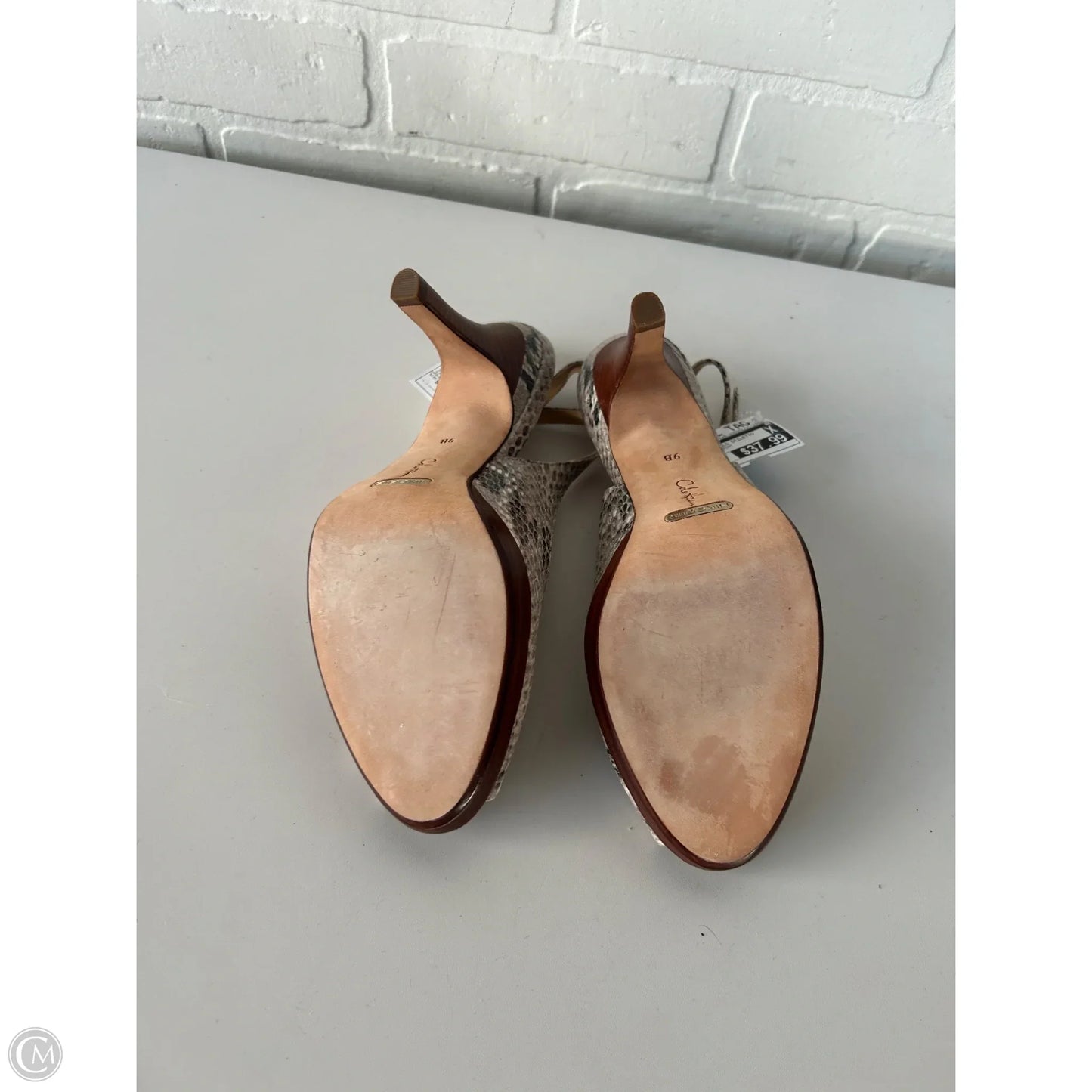 Sandals Heels Stiletto By Cole-haan In Snakeskin Print, Size: 9