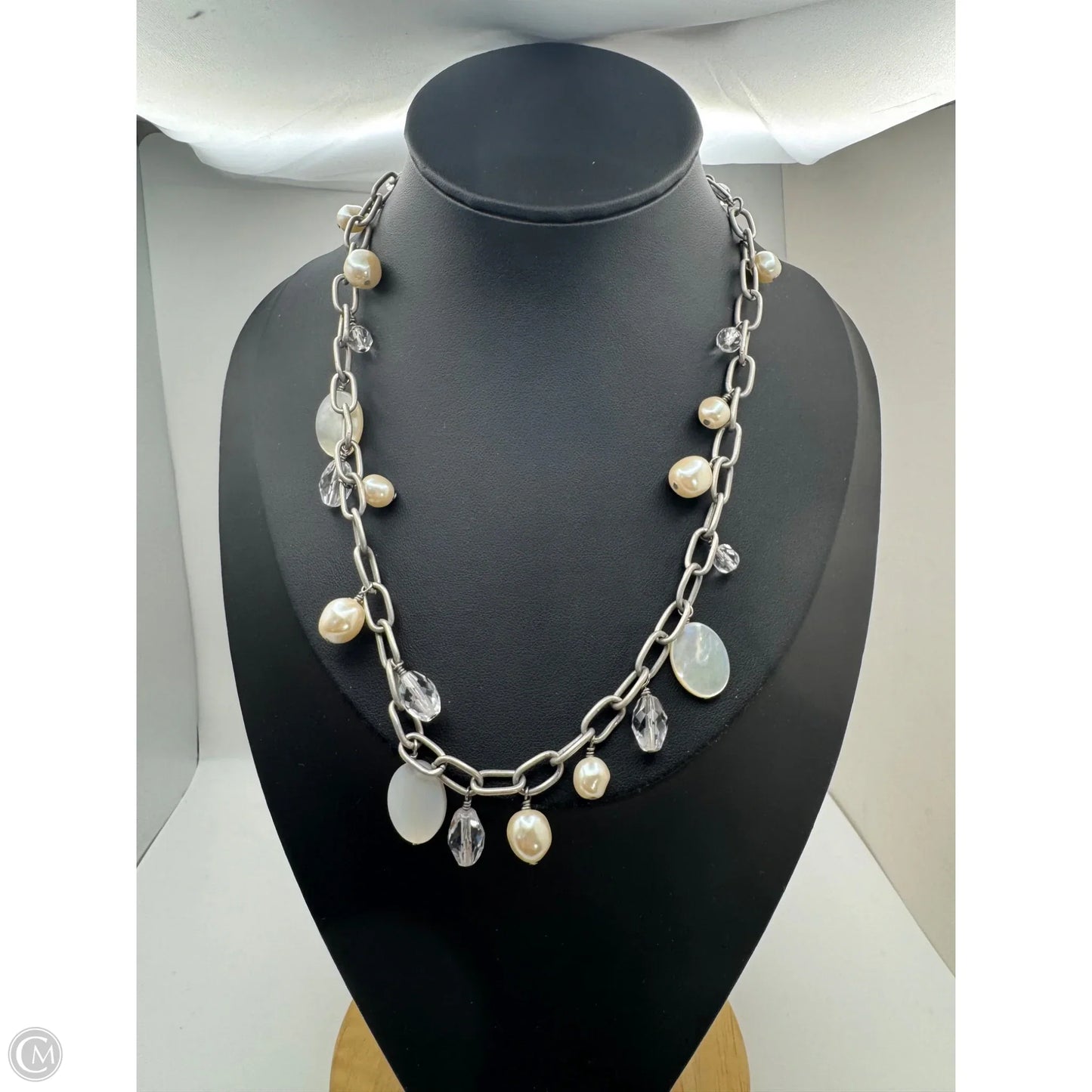 Necklace Chain By Clothes Mentor