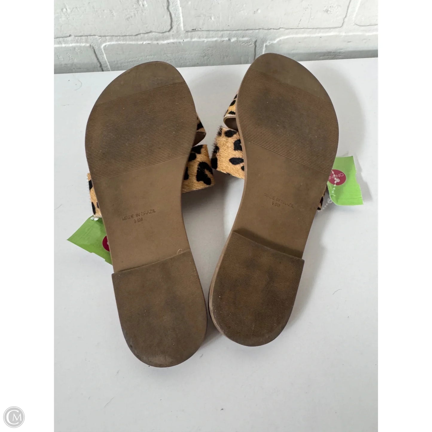 Sandals Flats By Steve Madden In Animal Print, Size: 9.5