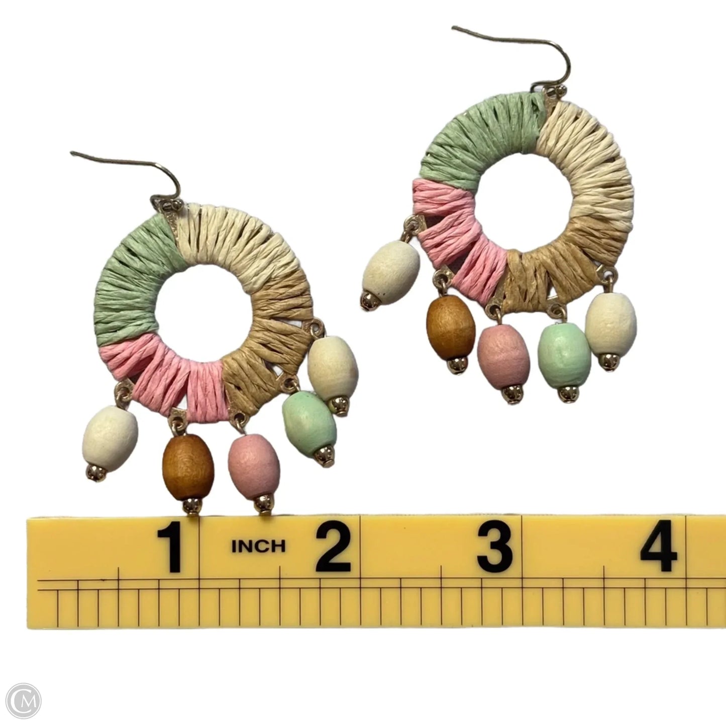 Earrings Dangle/drop