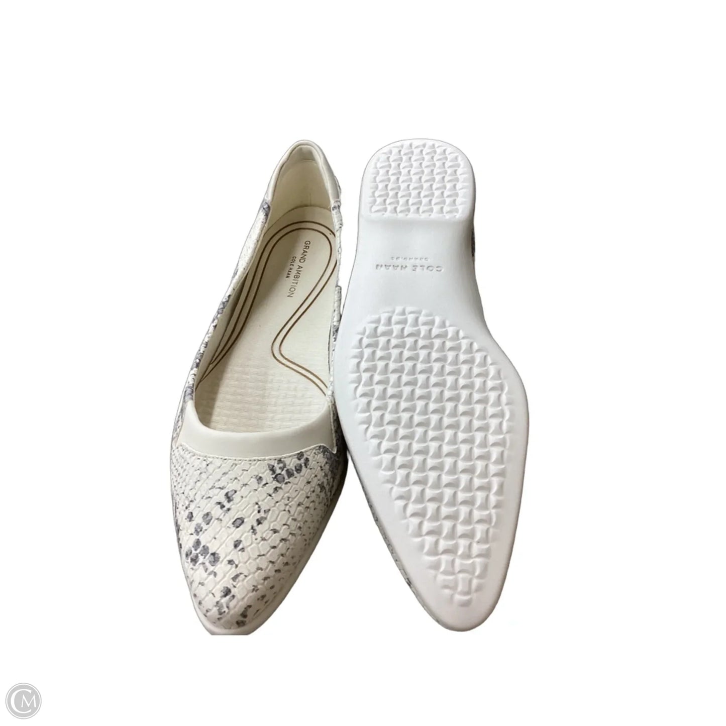 Shoes Flats By Cole-haan In Snakeskin Print, Size: 8