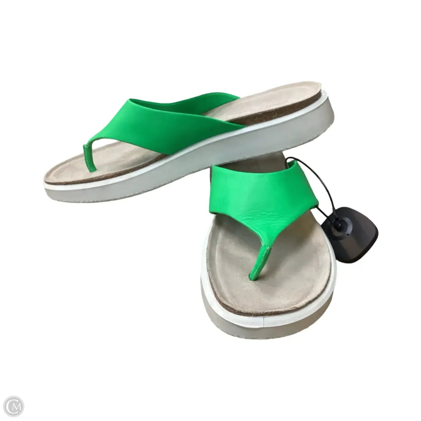 Sandals Flip Flops By Ecco In Green, Size: 10.5