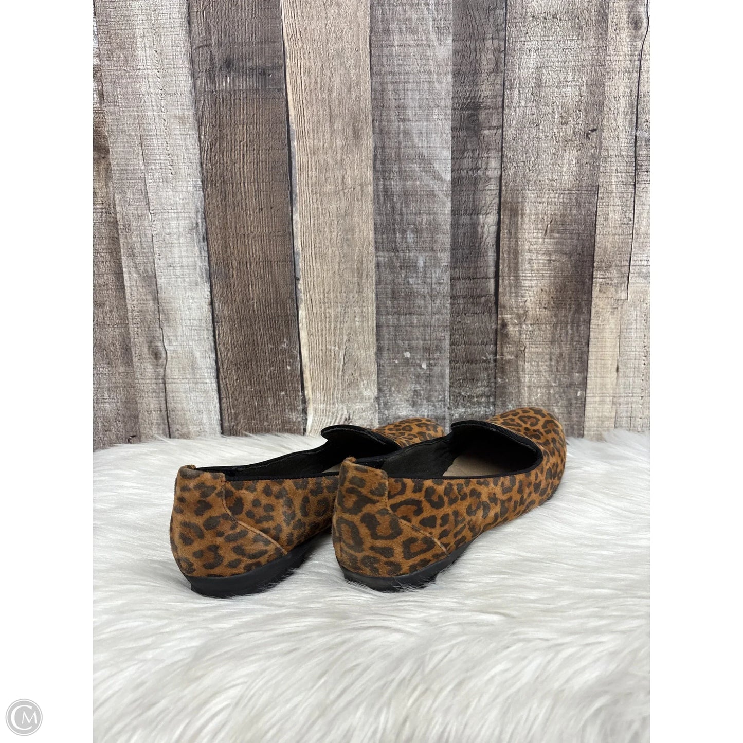 Shoes Flats By Clarks In Animal Print, Size: 9