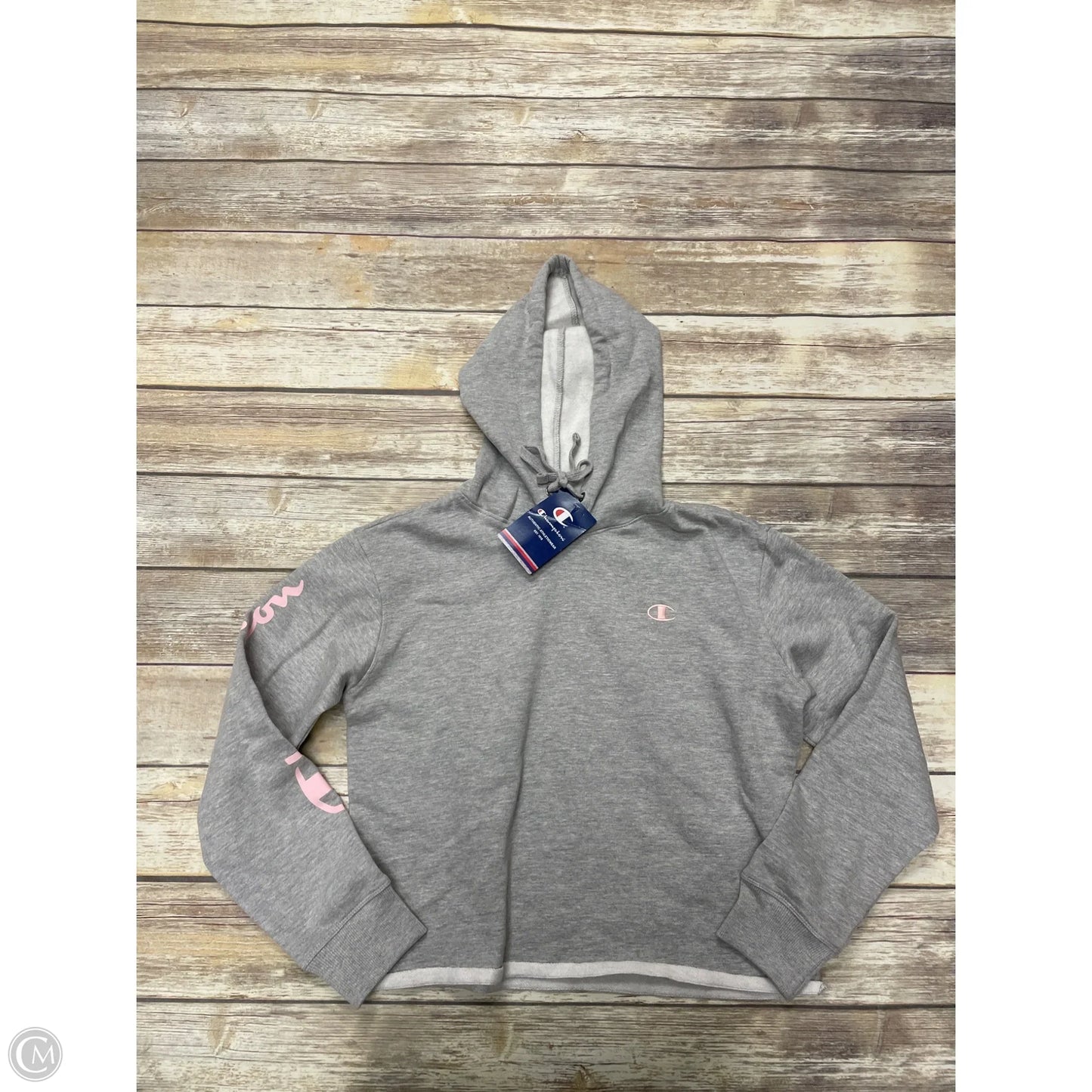 Sweatshirt Hoodie By Champion In Grey, Size: L