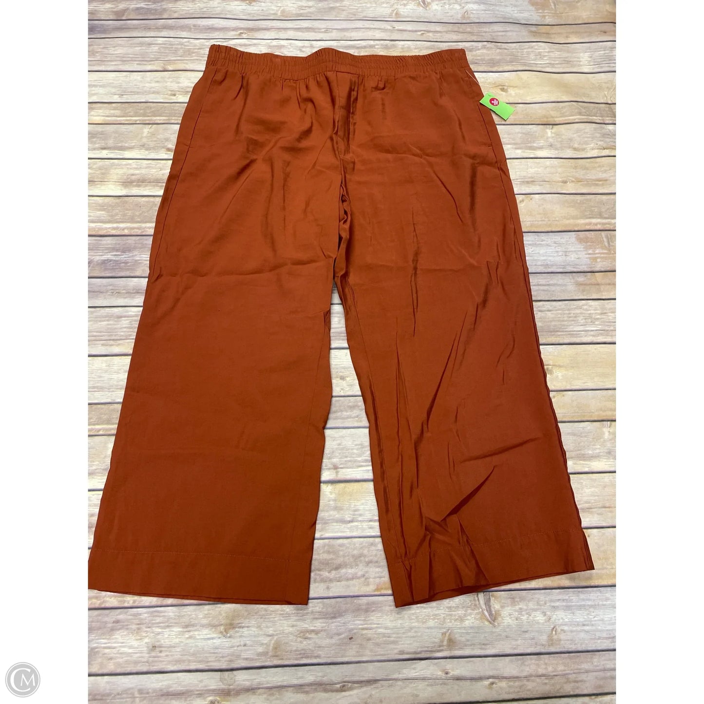 Pants Other By Ann Taylor In Orange, Size: Xl